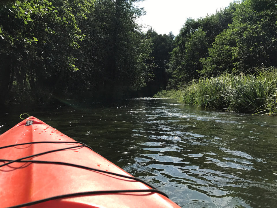 Canoeing – Borsk – Czarna woda